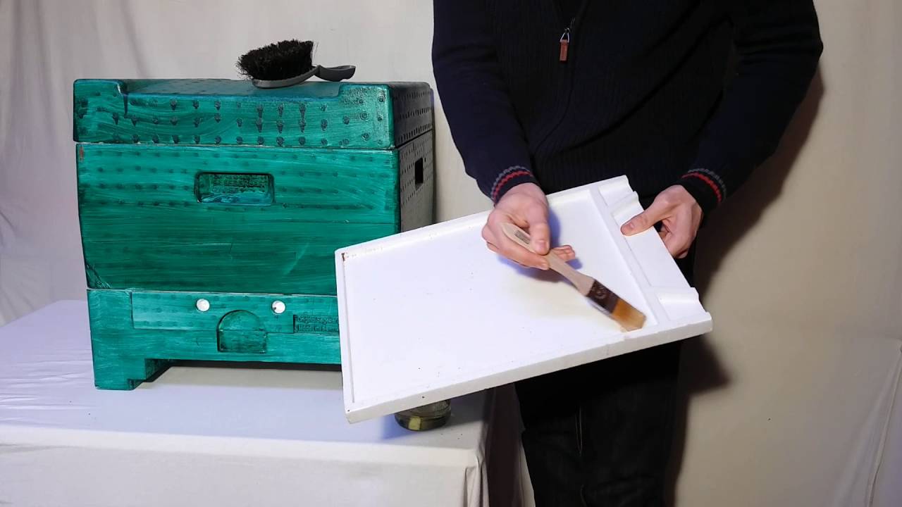 Bestimmung des natürlichen Varroafalls