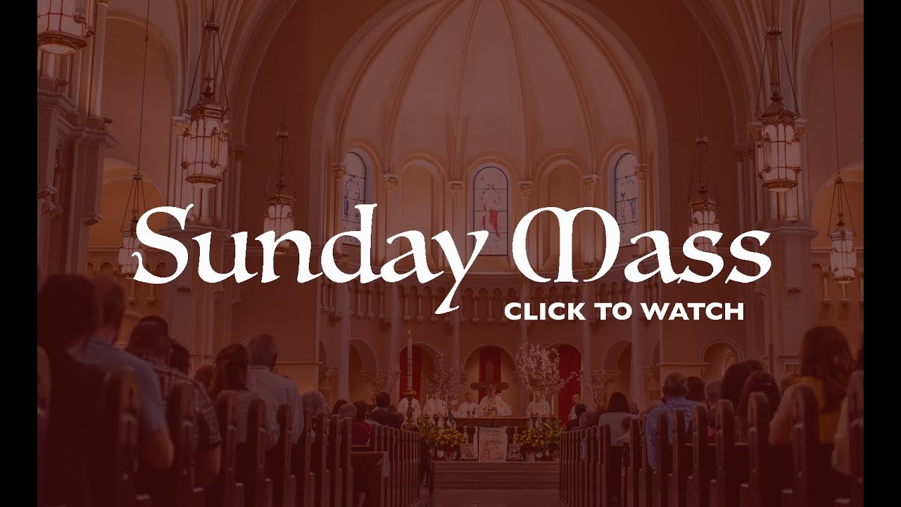 Catholic Sunday Mass Today Live Online Sunday, 12th Sunday In