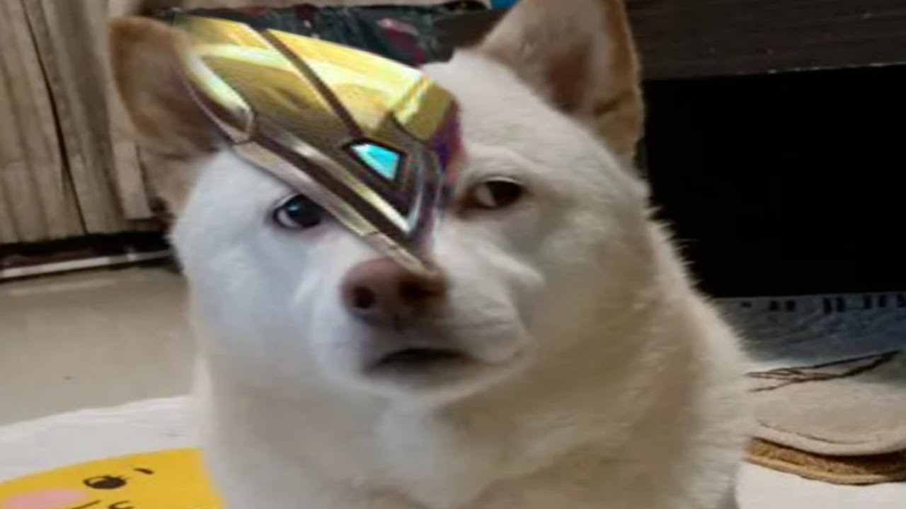 [ㅈ노잼 시리즈] 나서스1