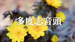 多度志音頭