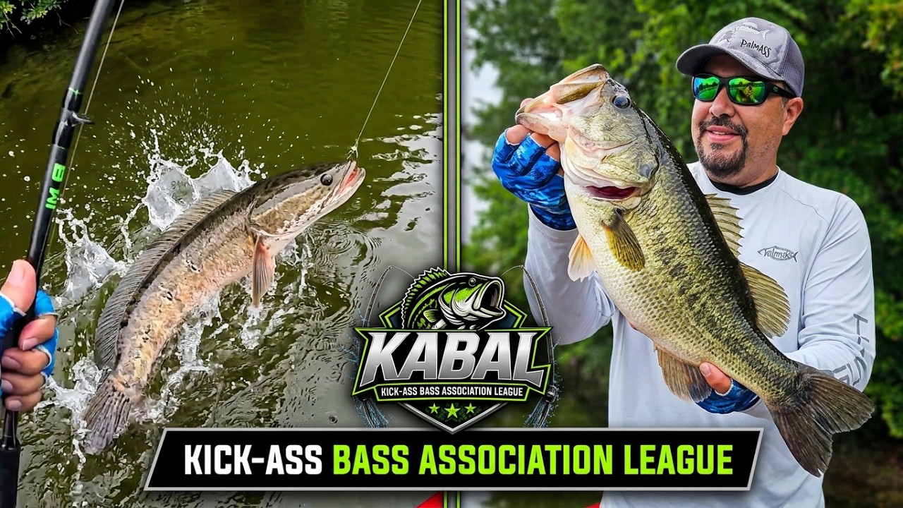 Big Bass & Monster Snakehead in Royal Palm Beach! | KABAL Fishing