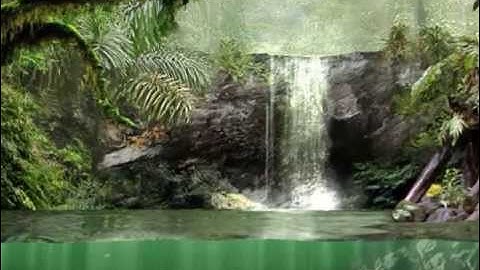 Bruce Cockburn - If a tree falls