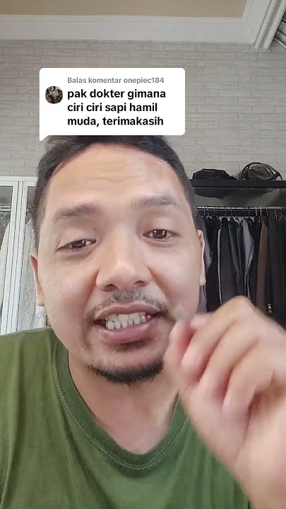 ciri ciri sapi hamil muda#suksesternaksapi #sapipedaging #edukasi #tutorial #sapigemuk #sapi#fyp