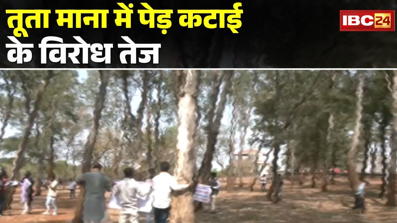 Raipur News : तूता माना में पेड़ कटाई के विरोध तेज | पेड़ों की पूजा कर 'चिपको आंदोलन' में होंगी शामिल
