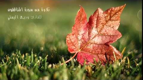 تلاوة خاشعة ورائعة من سورة المنافقون للقارئ وديع اليمني