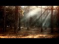A locked mystery [Fantastic mystery film music]