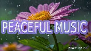 療癒下雨聲伴隨輕柔音樂使您舒緩疲憊、恢復元氣!Rain sounds and gentle music help you relax and recharge!#soothing#rain