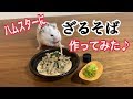 ハムスターにざるそば作ってみた♪ Hamster Eats Miniature Zaru Soba ( Soba Noodle)