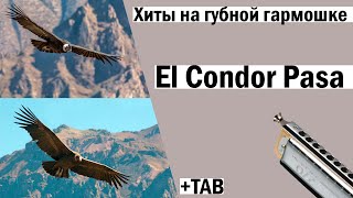 El Condor Pasa│Полет кондора│Хиты на губной гармошке│TAB