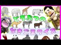 どうぶつなきごえクイズ