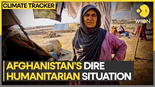 Prolonged drought deepens Afghanistan's humanitarian crisis | WION Climate Tracker screenshot 5
