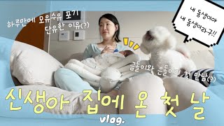 VLOG | 이제 시작이다!! 산후도우미 없이 신생아 24시간 브이로그 | 집에 온 첫 날 | 신생아와 강아지의 첫 만남의 결과는?? | 집에 오자마자 단유를 결심한 이유!!