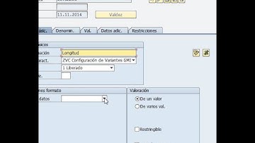 CT04 Caracteristica configuración Variantes Largo