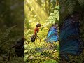 Broken butterfly and ant || Nythral Forest #emotionalstory #disney #foreststory #ants #butterfly