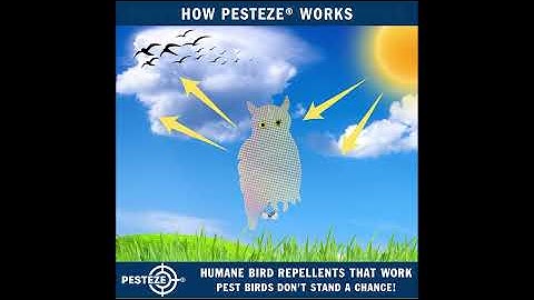 PESTEZE® Owl Bird Repellent with 2 Bells [Holographic & Humane Deterrent]