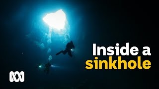 World-class sinkholes attract divers to South Australian farms 🕳️ | Wild Rides Ep 4 | ABC Australia