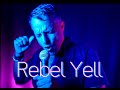 Rebel Yell | Billy Idol cover