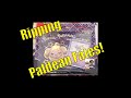 Ripping a Pokémon Paldean Fates Blister!