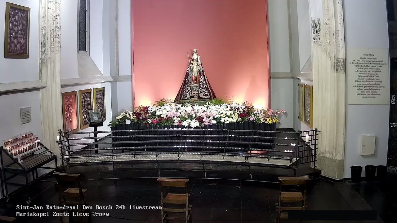 Maria Zoete Lieve Vrouw, St Jan Den Bosch, 24h Livestreaming November