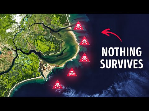 North Carolina Coast Eats Ships Alive - What’s Going On There?