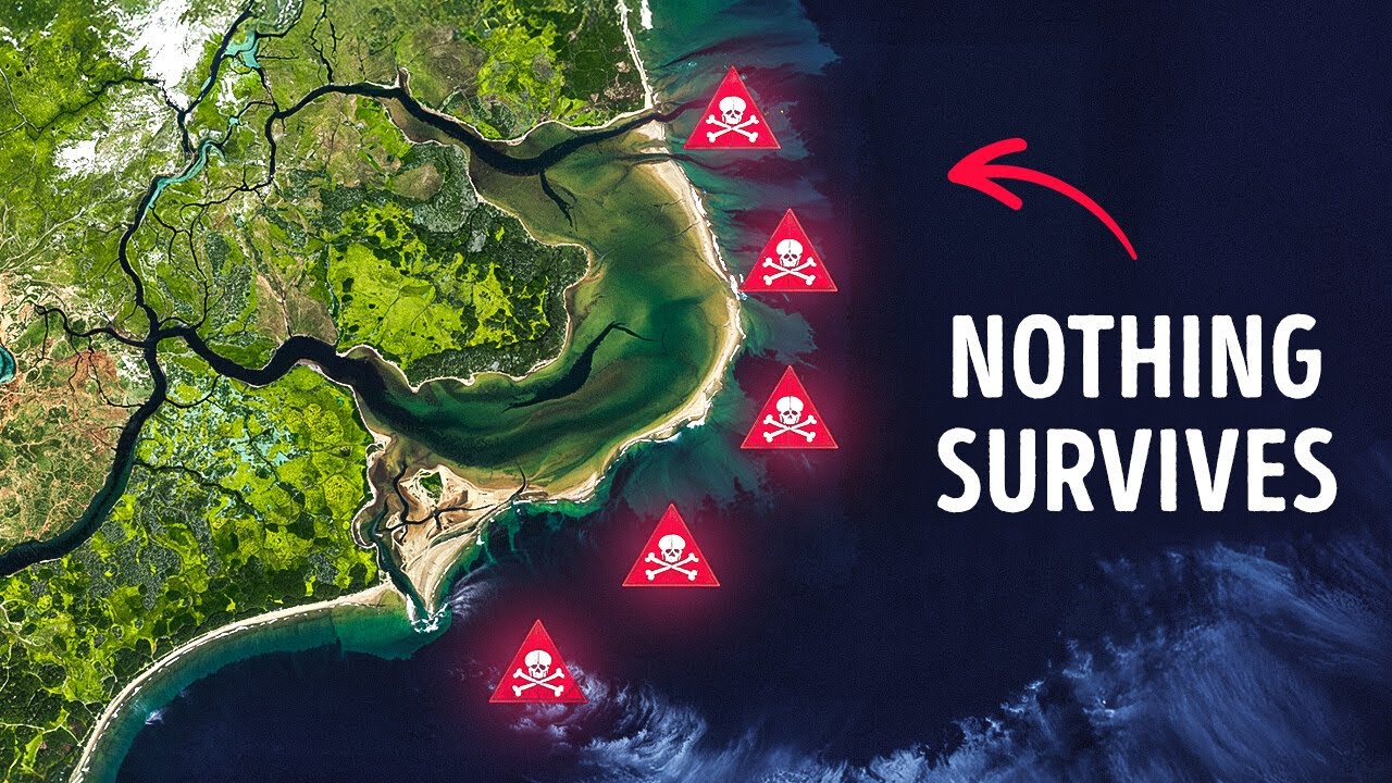 North Carolina Coast Eats Ships Alive - What’s Going On There?