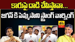 Pemmasani Chandrasekhar Strong Warning To YS Jagan || AP Volunteers || AP Elections 2024 ||Wild Wolf