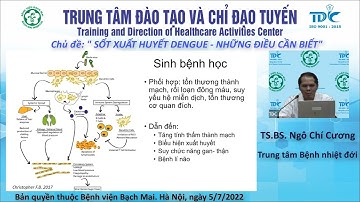 Sốt xuất huyết Dengue - nhưng điều cần biết