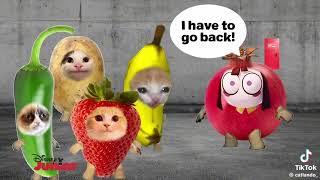 Disney Junior Screen Bug But Catlando