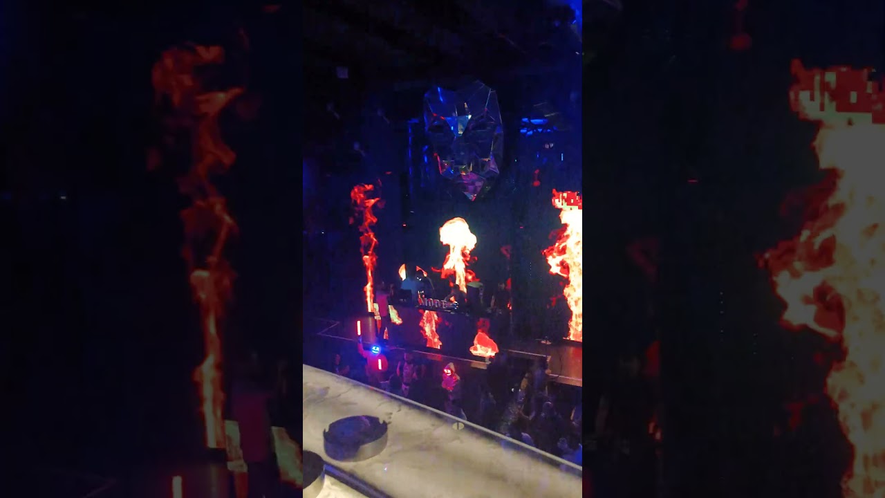 Mobe Panchkula sector 5 (night club) DJ Anamica