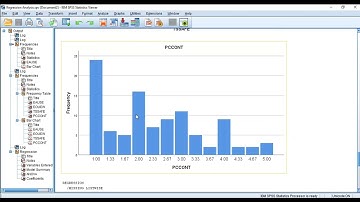IBM SPSS Software Analysis - Convert Final Scale to a Summated Scale & Regression Analysis
