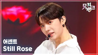 Still Rose - 어센트(ASC2NT) [뮤직뱅크/Music Bank] | KBS 260306 방송