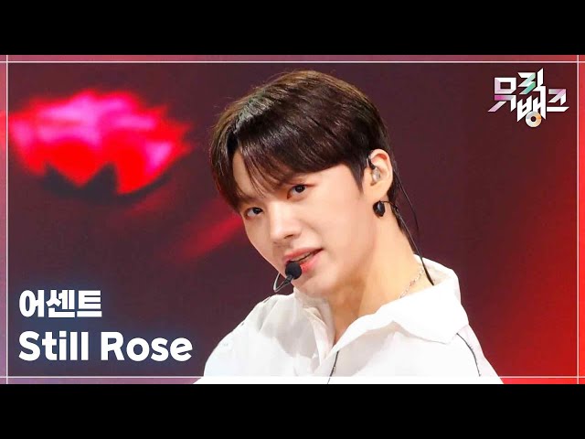 Still Rose - 어센트(ASC2NT) [뮤직뱅크/Music Bank] | KBS 260306 방송