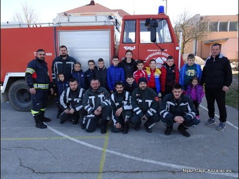 Video: Koliko časa kapucinske opice živijo kot hišni ljubljenčki?