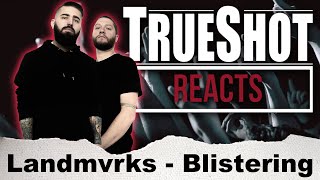 Metal Band Reacts  Landmvrks Blistering reactionreview