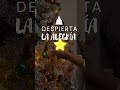 Tercer Domingo de Adviento — Domingo Gaudete
