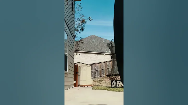 Avicii Levels Shuffle Dance Shorts (Best Shuffling Music Videos in 2022) with Leslie Malave