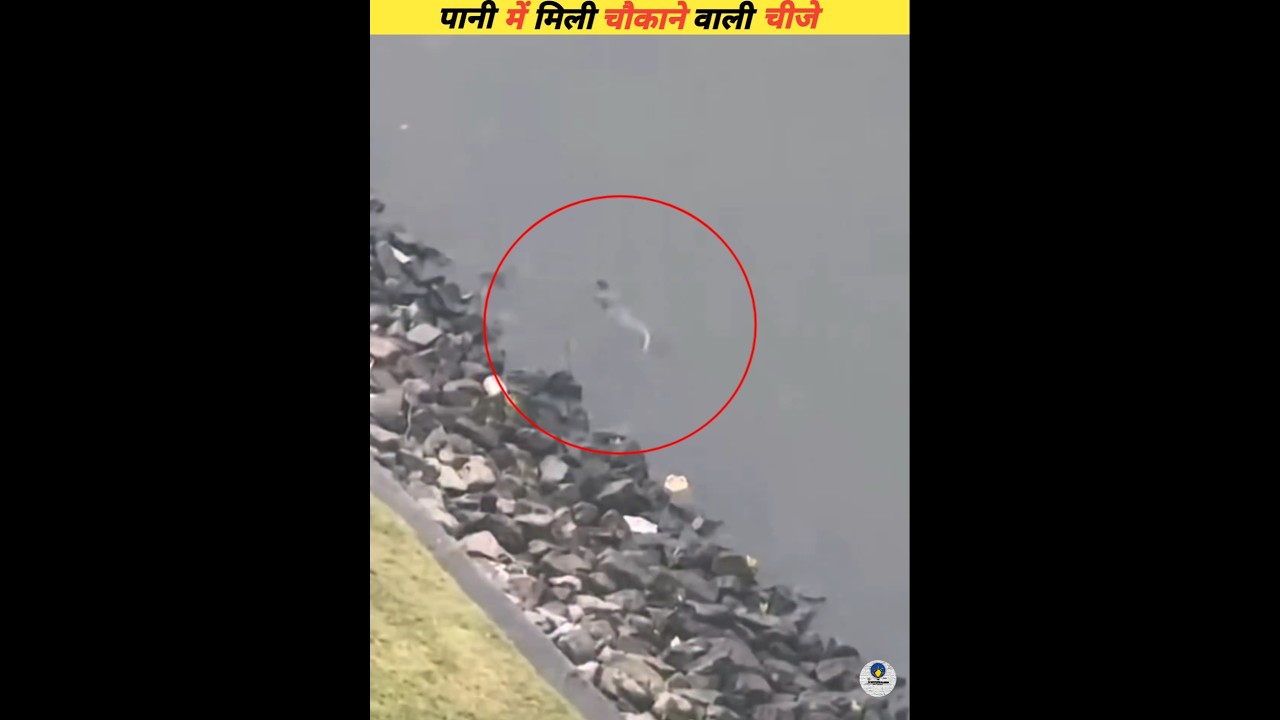 The strangest creature ever recorded in water 