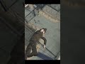 За ВДВ! #gta5rp #insquad #гта5рп #saspa
