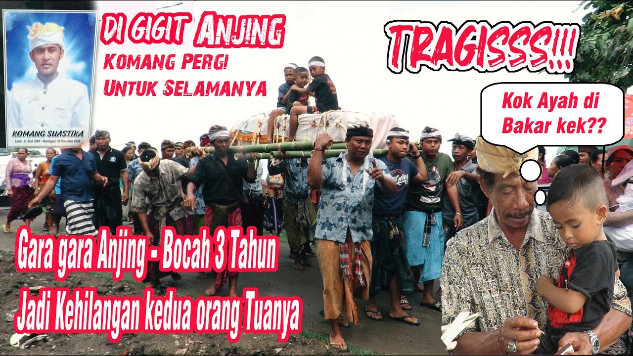 SEMUA MENANGIS❗❗ Melihat Gede Dita Kehilangan Orang Tua