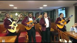 TRIO ECLIPSE / Noches de Bocagrande
