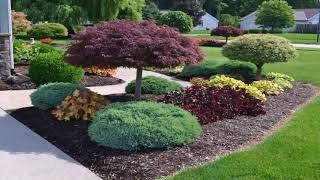 Landscape Design Hamptons