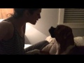 Dog Tricks | Kisses from Nacho!