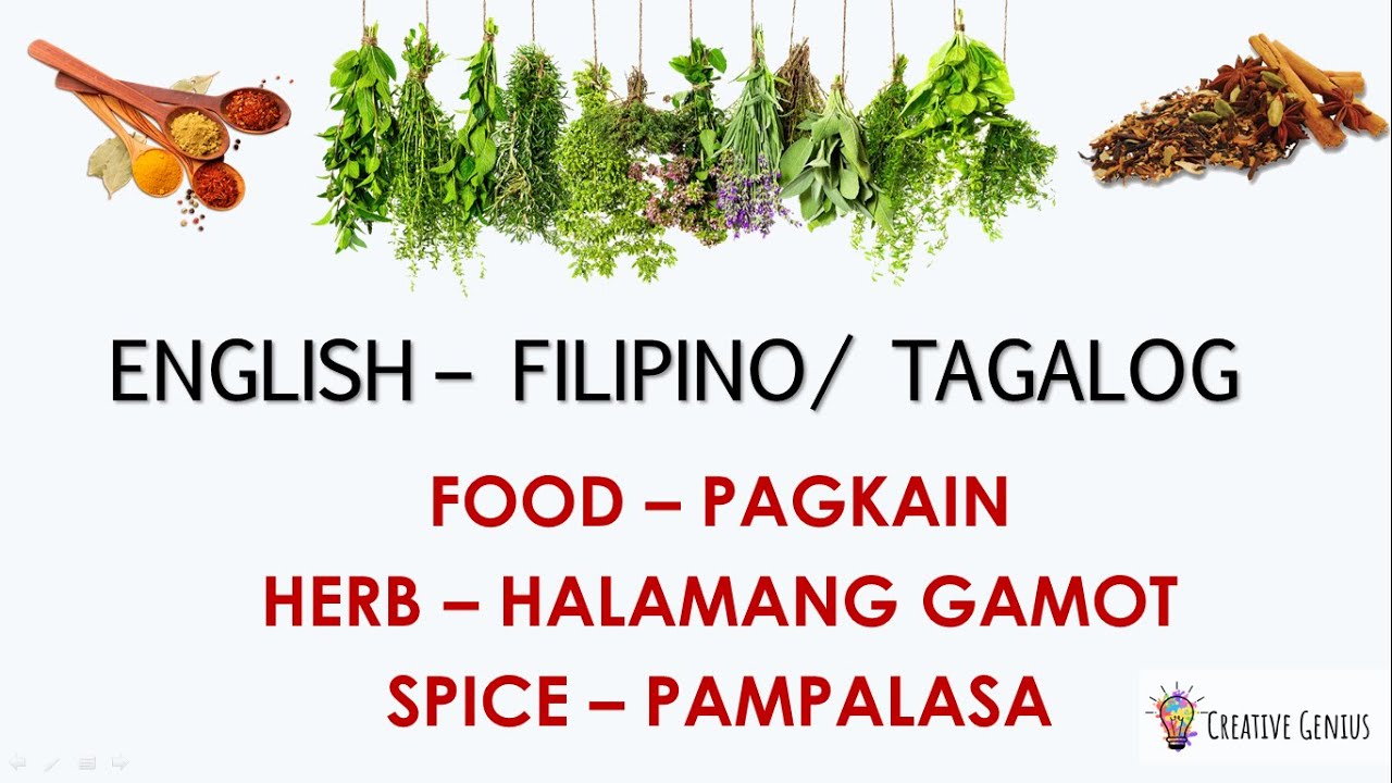 FOOD HERB AND SPICE HALAMANG GAMOT AT PAMPALASA English Filipino/Tagalog Creative