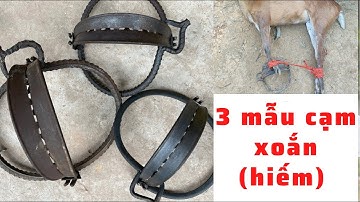 Cách lên 3 mẫu cạm kiềng Bẫy lợn rừng ,bẫy hươu .. chất liệu thép XOẮN