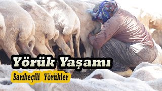 Toros Dağlarının Son Yörükleri.. I  Belgesel.. by İbrahim Türk Belgeselleri 97,192 views 10 months ago 42 minutes