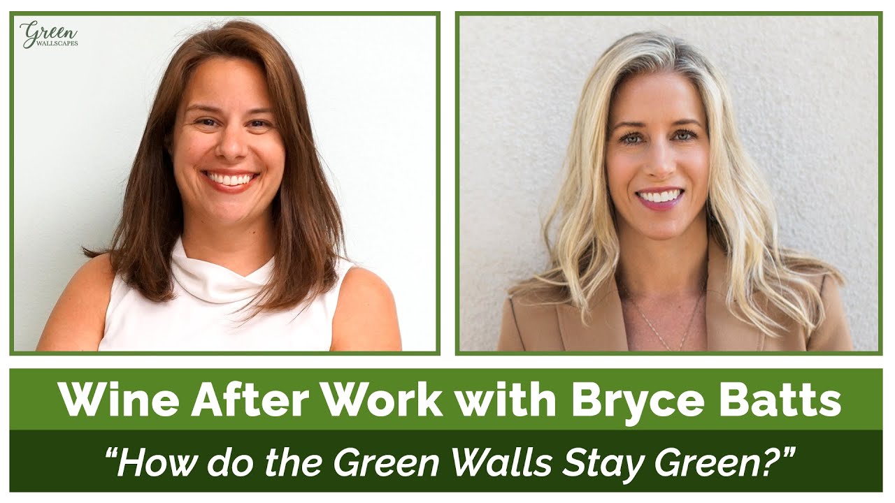 Podcast Interview Snapshot: How Do Preserved Moss Walls Stay Green?