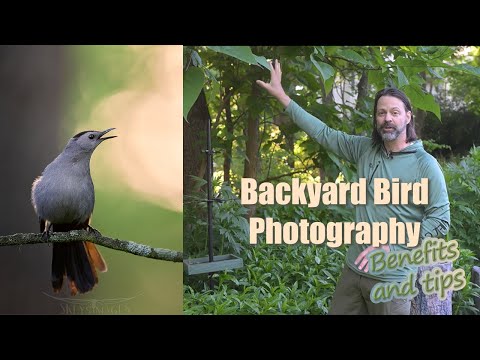 Βίντεο: Backyard Bird Blind Info - Tips for Making A Bird Blind