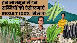 Monsoon में कौन कौन सी सब्जियां लगाएं | seeds sowing | vegetable | Rooftop organics 