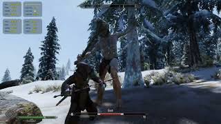 Skyrim SE - Lossless Scaling Dual GPU Test | Modded | Cabbage ENB | 2025 #3