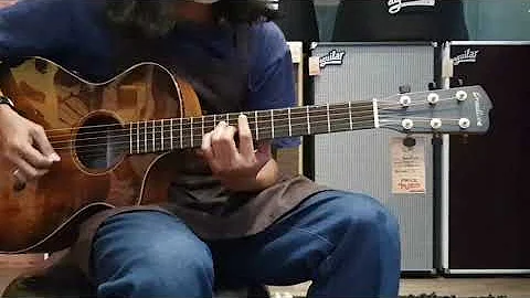 Breedlove Oregon Concertina Bourbon CE (Demo)